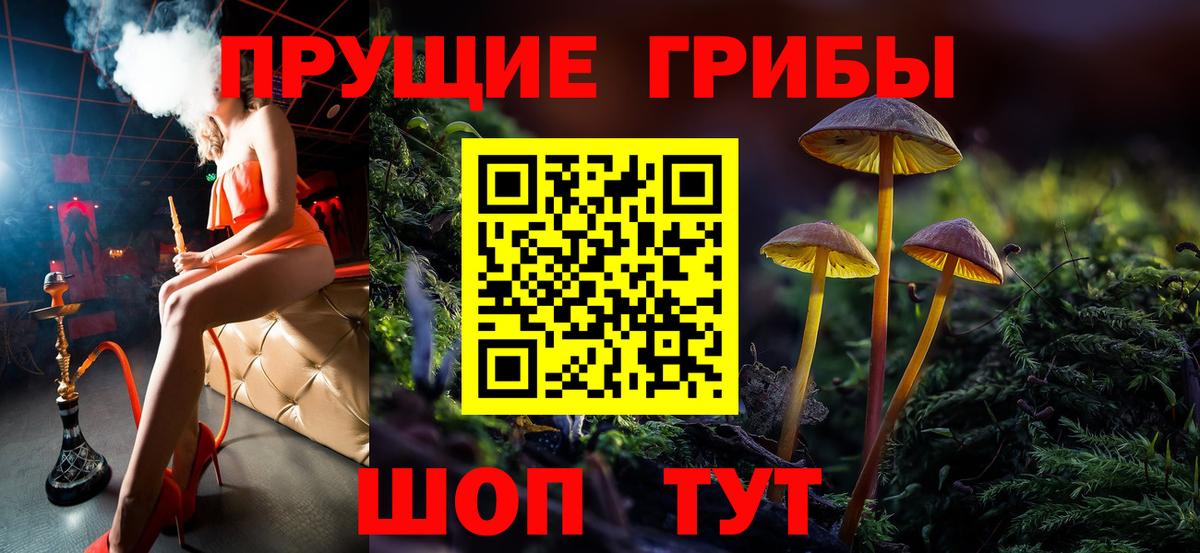 Псилоцибиновые грибы мухоморы  купить  сайты  Сухой Лог  Вход с VPN 